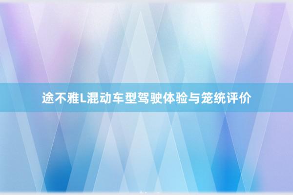 途不雅L混动车型驾驶体验与笼统评价